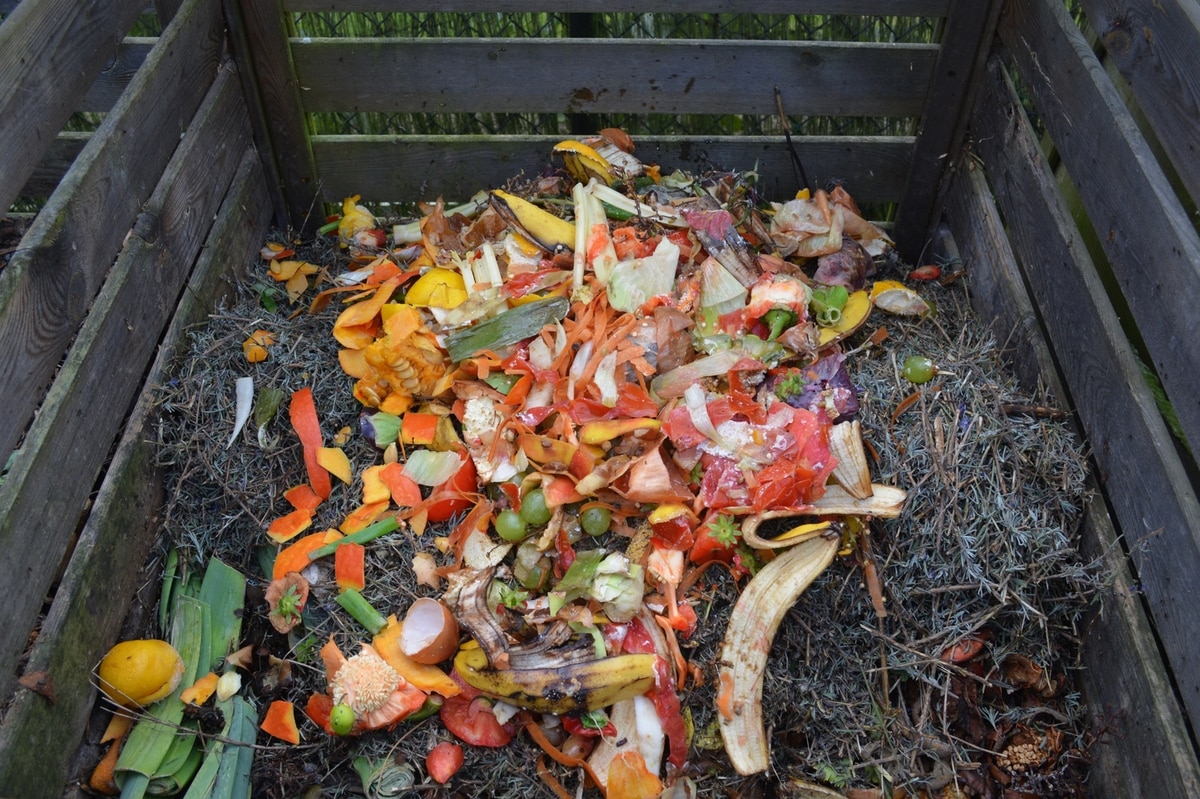 pile of compost