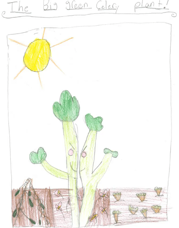 CNN Call to Earth Student Drawing Celery