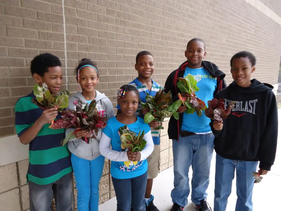 Students from Clarkdale Elementary harvesting vegetables from their garden.