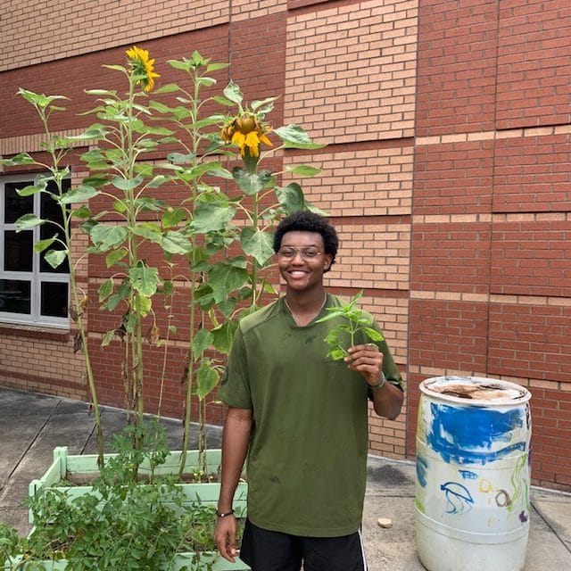 Cole Ezeilo holding plan in front of tall sunflower