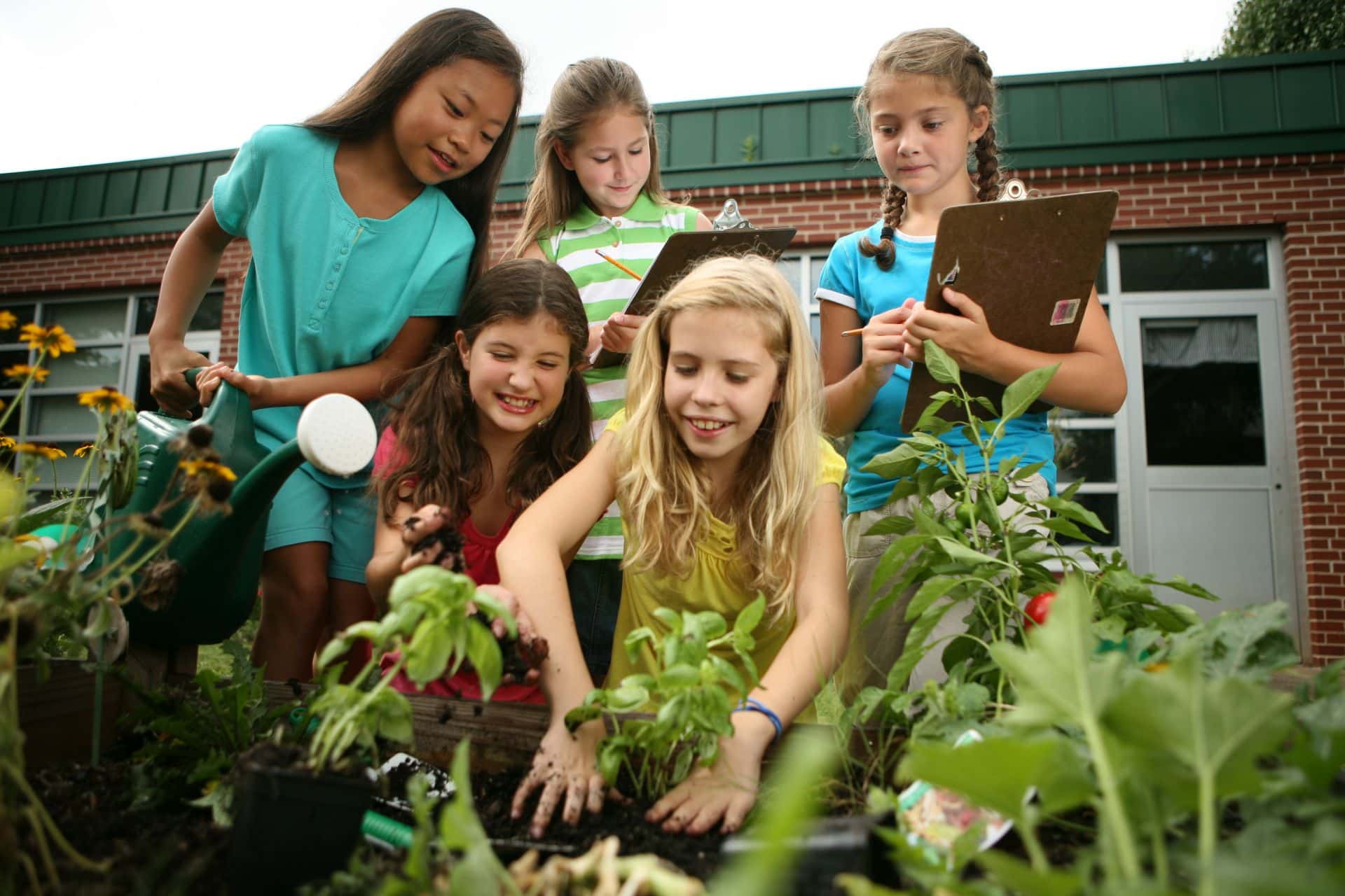 group of 5 girls planting