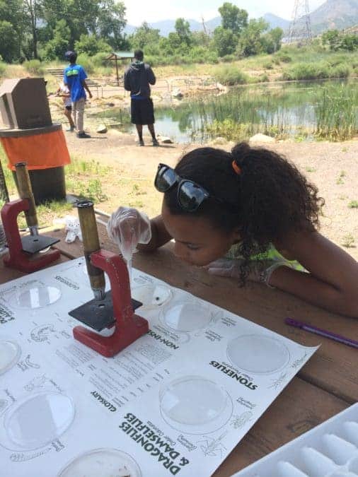 young student making observations with a field microscope