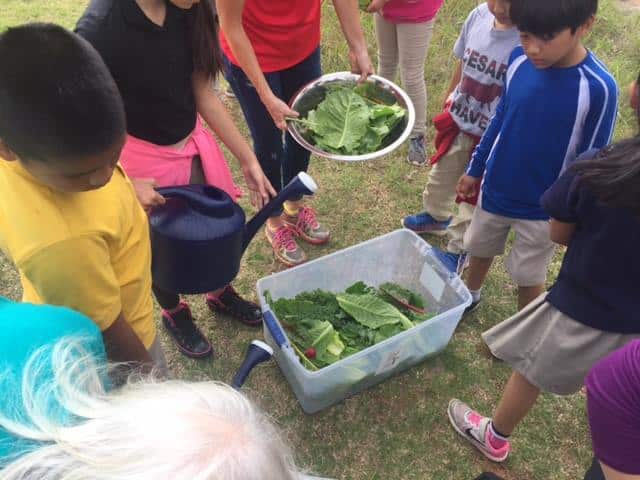 young kids creating garden salad