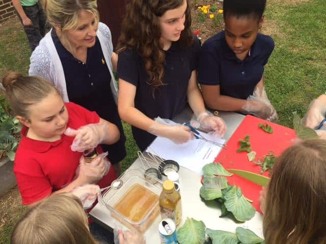 Students cutting vegetables