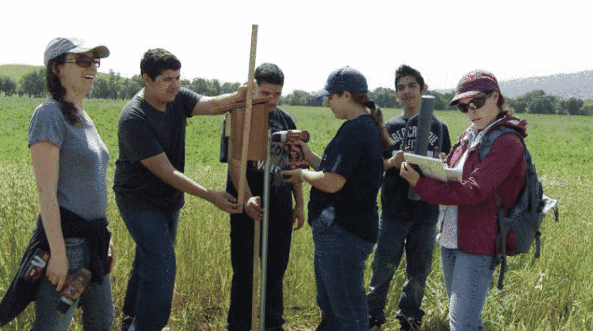 Older students constructing bird house in field