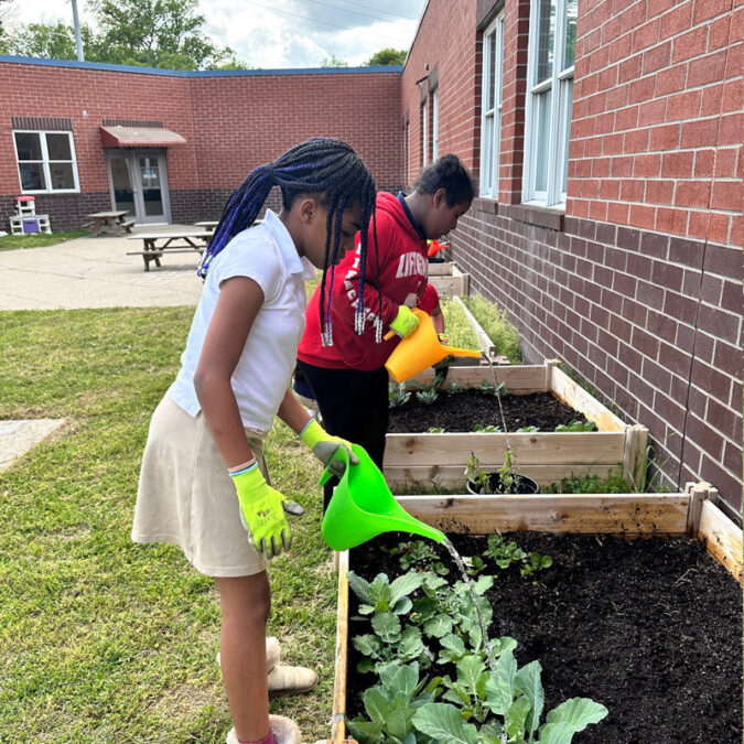 Cabbage, onions, and strawberries, oh my!