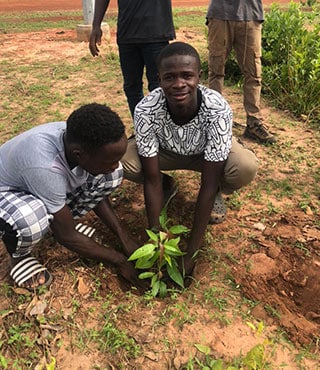 Seasons of Solutions