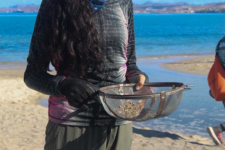 EcoXipe and Californios Verdes Planeteer Clubs in La Paz, BCS, Mexico came together to collect trash and clean-up a popular local beachfront. They then discussed as a group how garbage reaches the sea and strategies for mitigation.