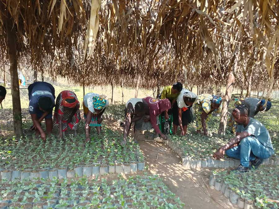 Adia Uwase of Rwamagana, Eastern Province, Rwanda leads a group of 19 Planeteers in planting and restoring native greenery to a beloved nature trail in her community.