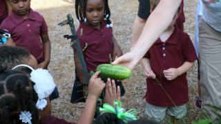 young girl looking at cucumber with friends