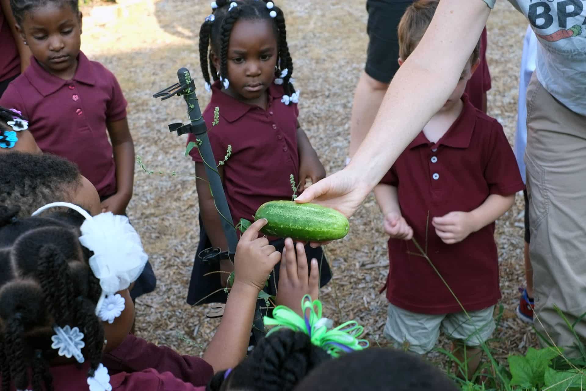 young girl looking at cucumber with friends