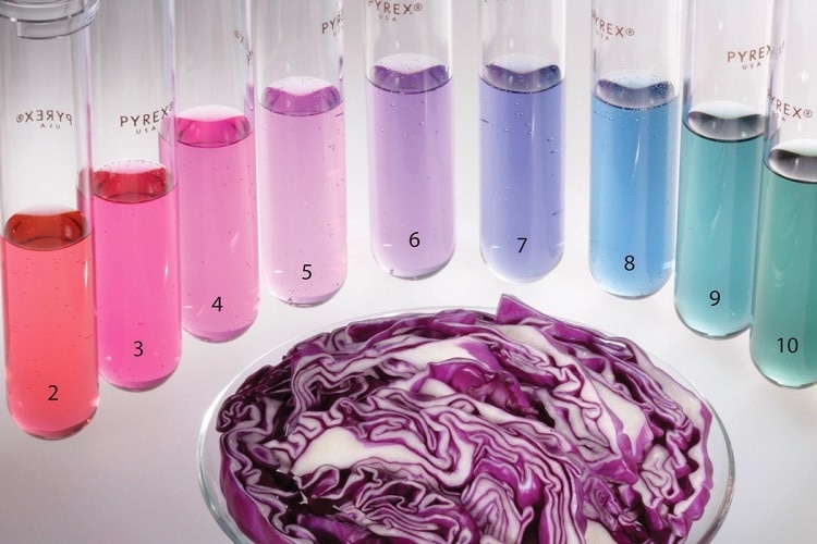 pH leveled test tubes surrounding red cabbage.