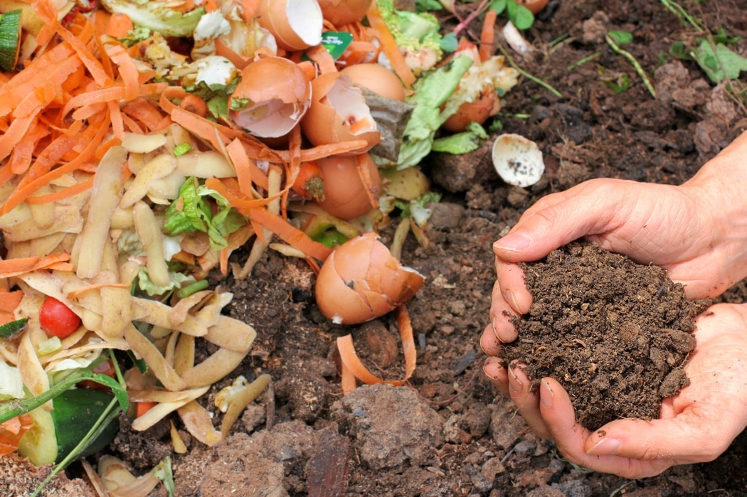 Hands picking up dirt next to a pile of compost.