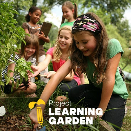 Youth planting on a garden bed