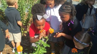 Young girl smelling flower with her friends