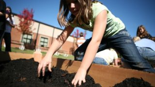 young girl digging in dirt