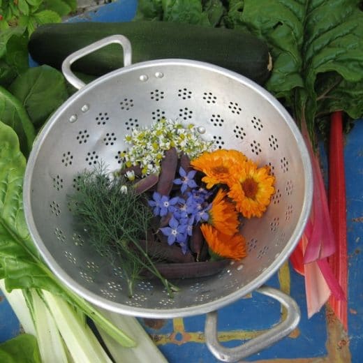 bowl of edible flowers