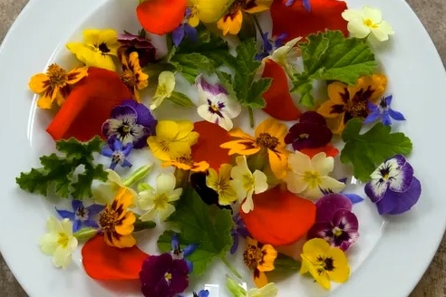 Colorful flowers on a plate.