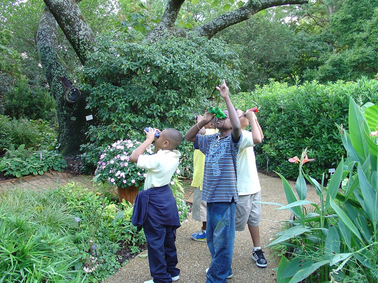 kids looking at trees with binoculars