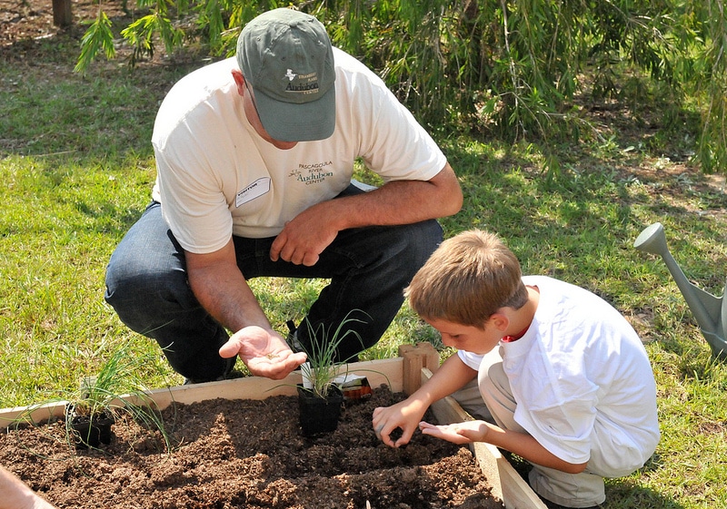 man helping child plant seeds in their garden