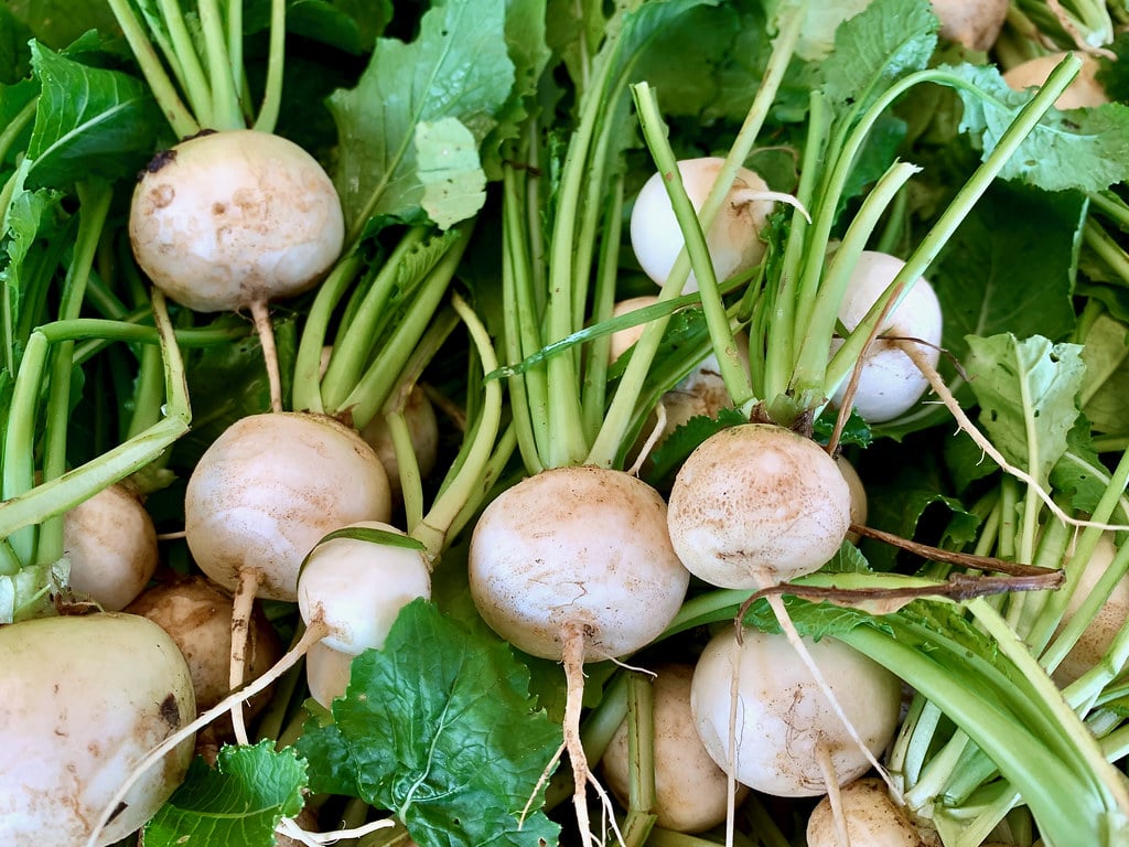 pile of turnips
