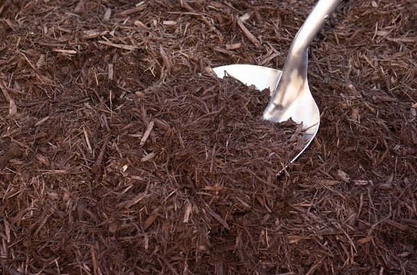 shovel in mulch