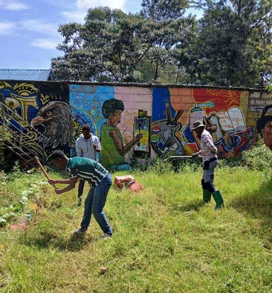 Lake Victoria Restoration and Action Summits