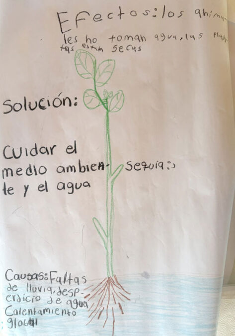 Root-Cause Analysis posters completed by La Paz youth.
