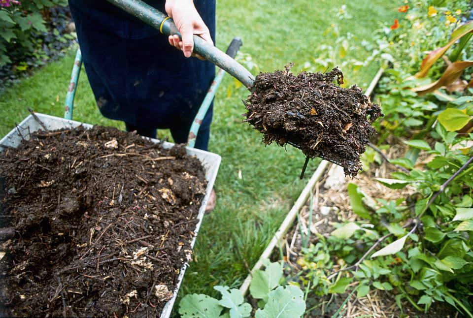 Extending Your Growing Season: Mulching