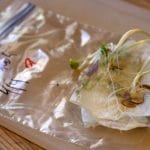 Germinating seeds on a paper towel.