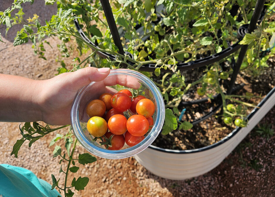 PLG Welcomes Back Students and Teachers with "Guard Your Garden" Initiative.