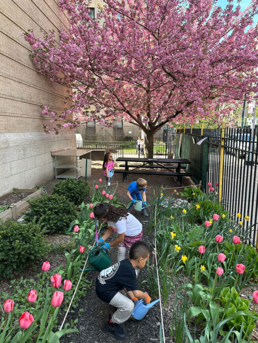 PLG Welcomes Back Students and Teachers with "Guard Your Garden" Initiative.
