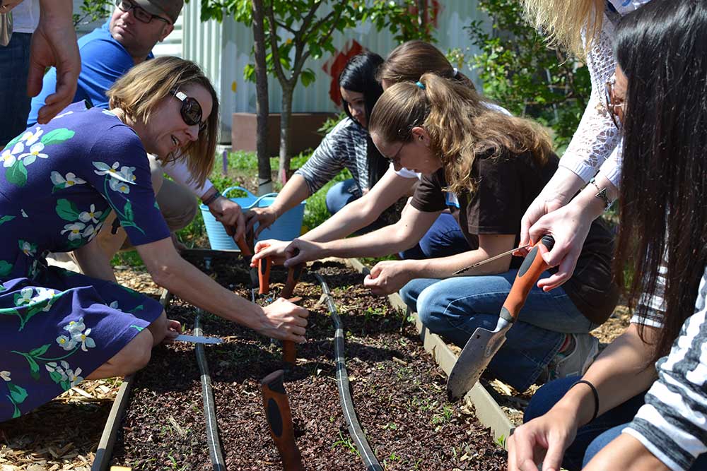 PLG School’s Garden this Summer