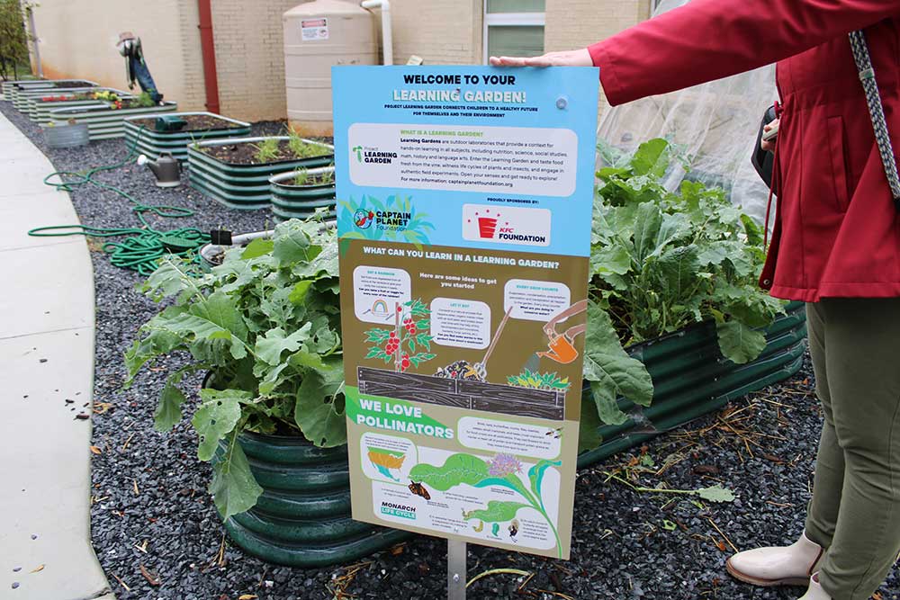 PLG School’s Garden this Summer