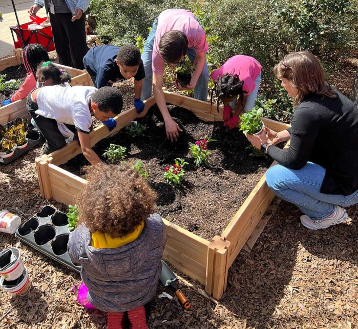 PLG School’s Garden this Summer