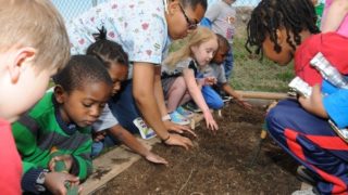 Group of kids spacing seeds out in soil