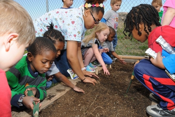 Group of kids spacing seeds out in soil