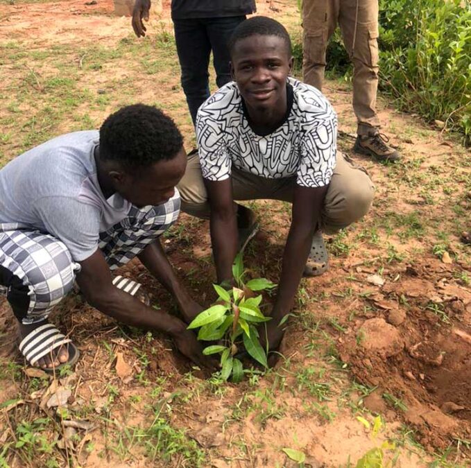 Reforesting The Gambia