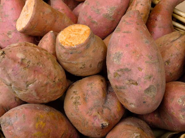 pile of sweet potatoes