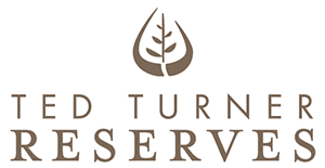 Ted Turner Reserves Logo