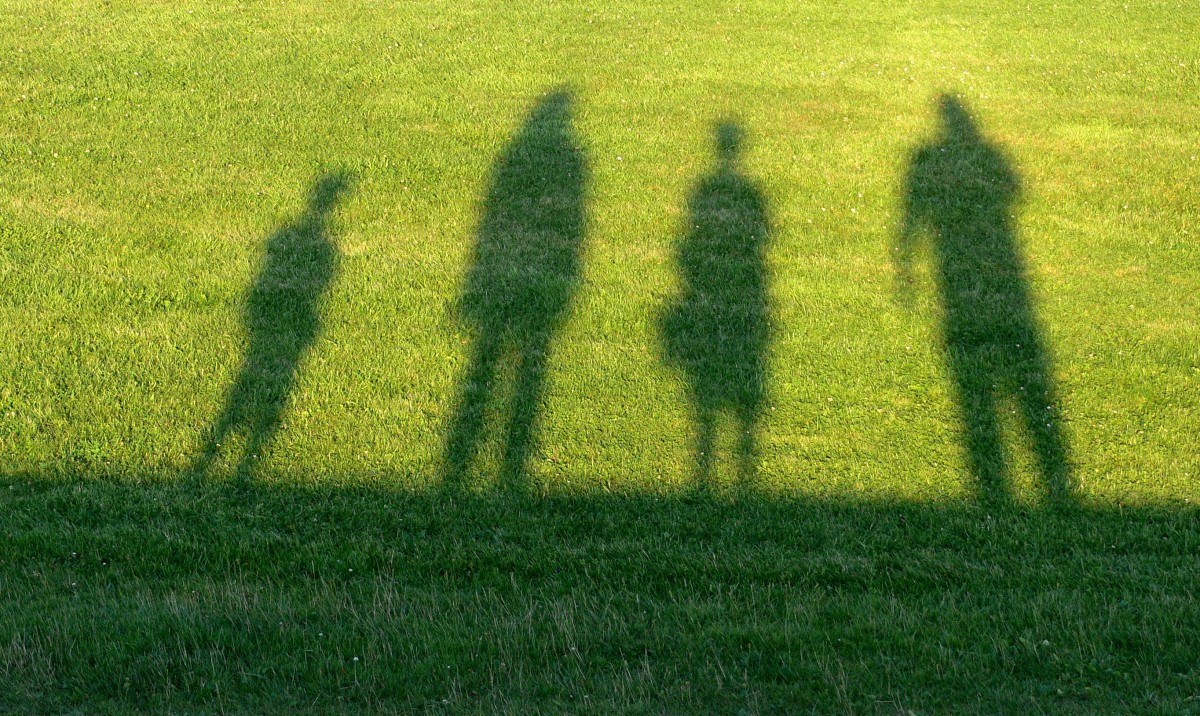 shadow of a family in the grass