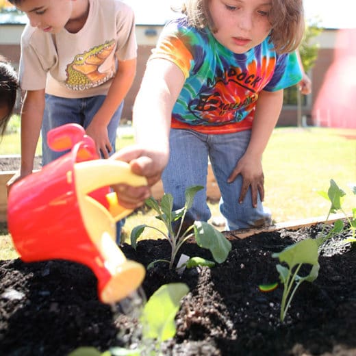 child watering garden